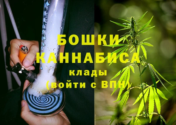 прущие грибы Кинешма