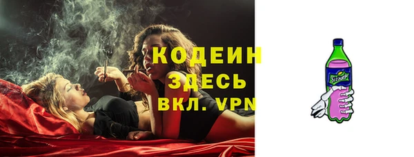 прущие грибы Кинешма