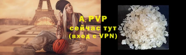 гашик Касимов