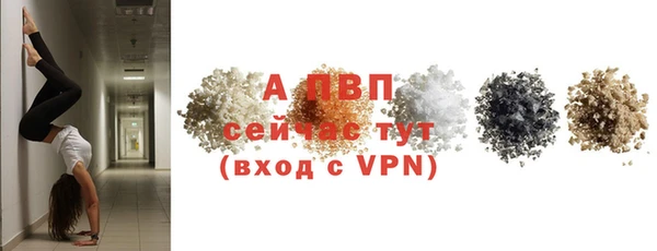 прущие грибы Кинешма