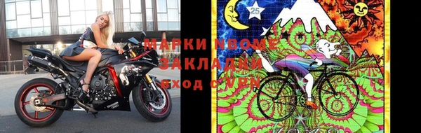 прущие грибы Кинешма