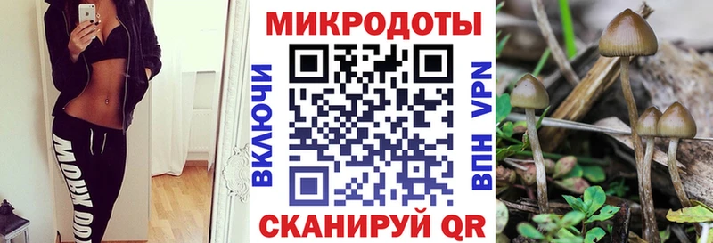 Купить где  Нязепетровск  Галлюциногенные грибы Psilocybe 